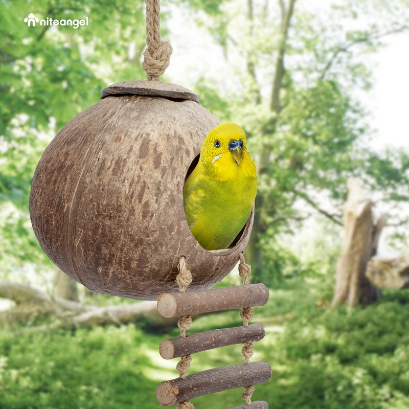 Niteangel Natural Coconut Hamster Hideaway with Ladder, Bird and Small Animal Toy (House with Ladder, Smooth Surface) - Image 5